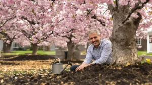 Depuis que je fais ça en avril, mes cerisiers gardent leurs fleurs bien plus longtemps que ceux du quartier